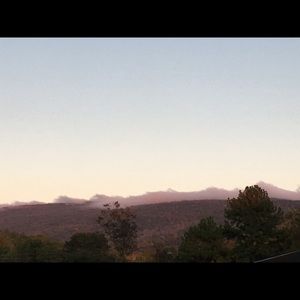 Meet your Posher, Tara